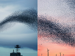 Избежать раскола в команде лидеров