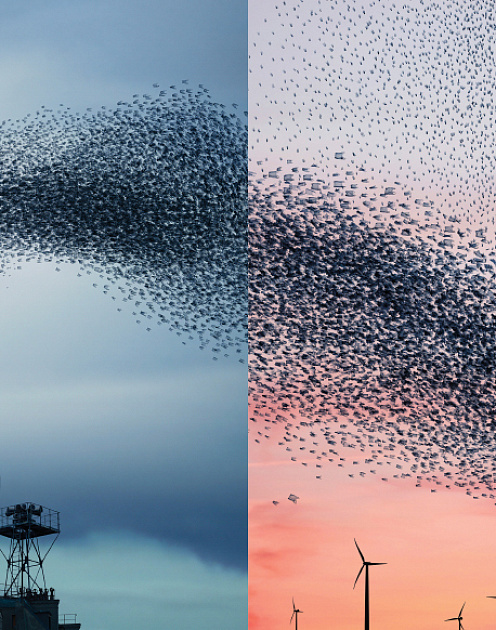 Избежать раскола в команде лидеров