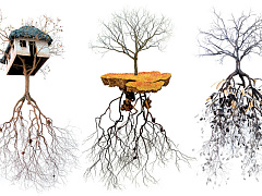 Пять правил для семейных компаний