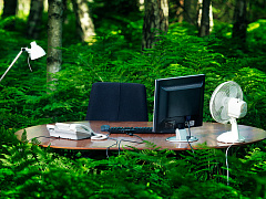 Как нанять сотрудника, которого вы никогда не видели лично