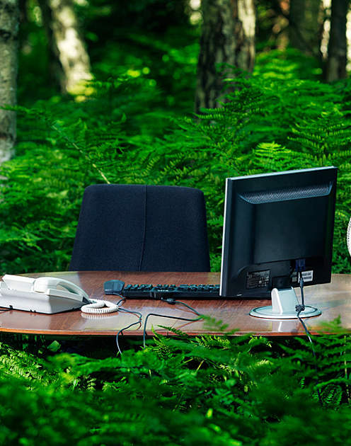 Как нанять сотрудника, которого вы никогда не видели лично