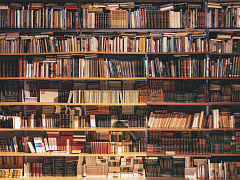 В поисках идей: ноябрьский выпуск