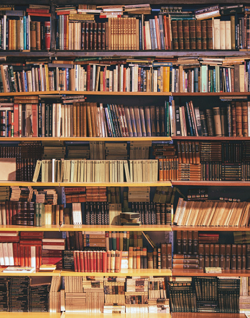 В поисках идей: ноябрьский выпуск