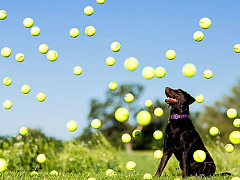 Как Facebook привлекает и удерживает миллениалов