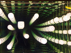 Глобальная ­утечка мозгов