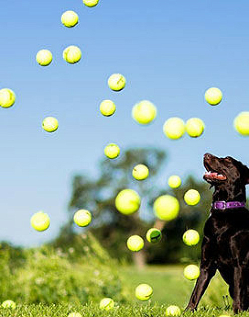 Как Facebook привлекает и удерживает миллениалов