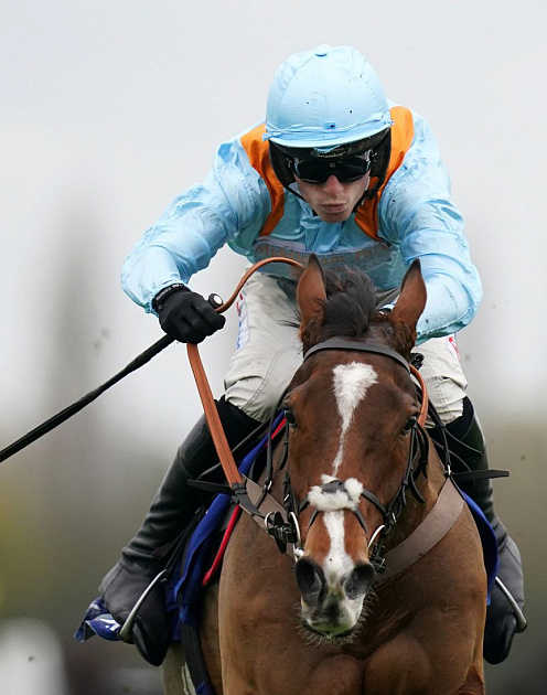 Верная ставка: рецепты лидерства от СЕО-шейха