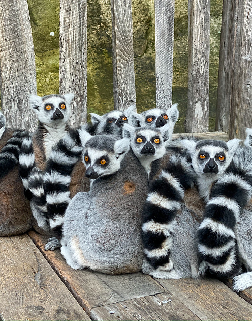 Чтобы завоевать людей, обращайтесь к их нуждам и потребностям