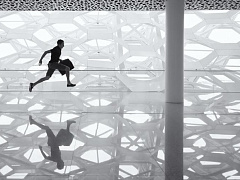 Уроки гибкости: что общего у бизнеса и балета