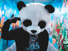 «Панды» против карьеры