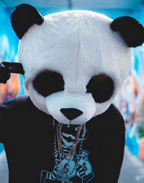 «Панды» против карьеры