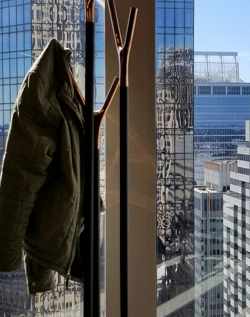 Дилемма основателя