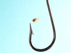 Что делать, если руководитель требует от вас невозможного