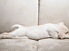 «Нет никаких сил!»: как искать работу, если вы очень устали