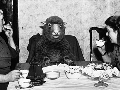 Нет нетворкингу