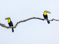 Десять текстов, которые помогут эффективно общаться с кем угодно