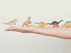 Лидеру нужно заботиться о других, но одной заботы недостаточно