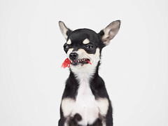 Как работать с теми, кто создает вредные конфликты