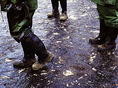 Какие эмоции губят здоровые организации