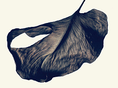 Устойчивое развитие для галочки