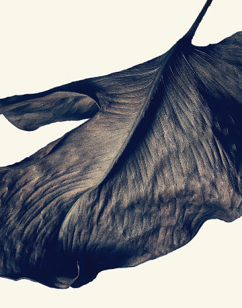 Устойчивое развитие для галочки