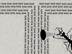 4 причины, по которым руководителям нужно уделять больше времени коучингу