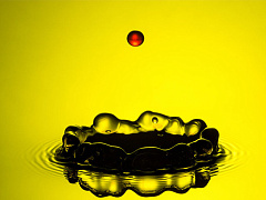 Выплыть из пустоты: как операционный директор Facebook нашла смысл в трагедии