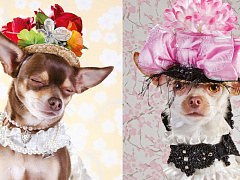 Творческий подход к удержанию талантов