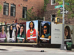 Пусть цветут сто цветов: разнообразие в рекламе повышает продажи