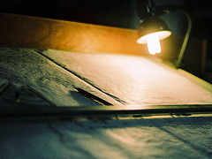 Европе надо научиться привлекать беженцев к работе