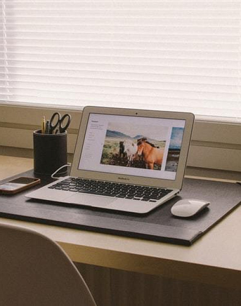 Всё, что нужно знать об удаленной работе