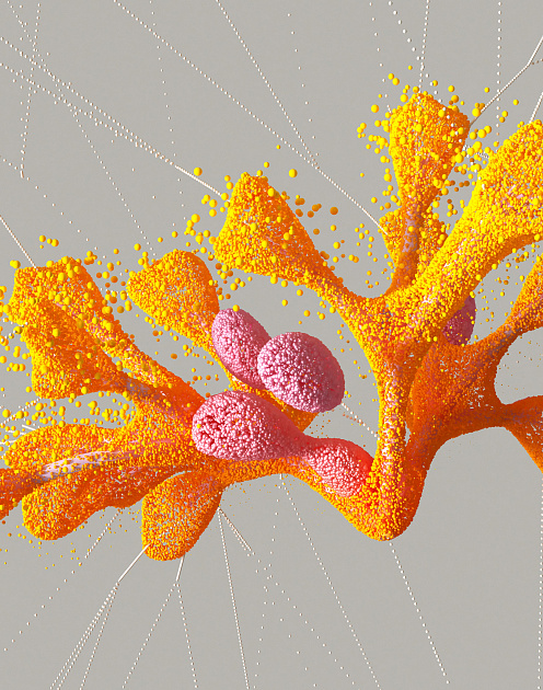 Новый подход к прогнозированию