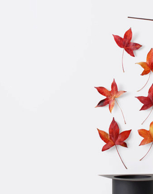 «Мы хотим, чтобы менеджеры снова стали живыми людьми»