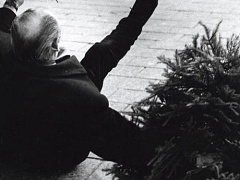 Непредсказуемость — неотделимое свойство мира