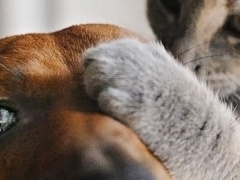 И тишина: как установить обратную связь