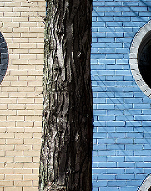 Как договориться с самим собой