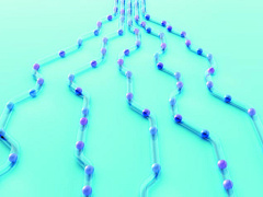 Стратегия довольных людей