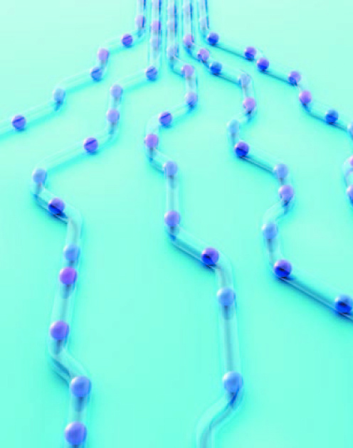 Стратегия довольных людей