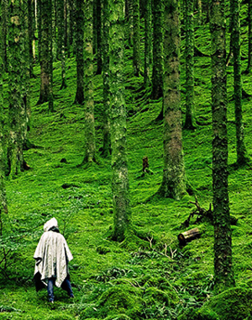 Пора забыть миф об одиноком гении