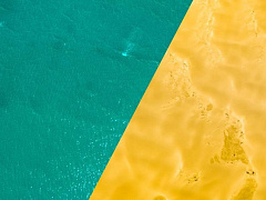 «Мы постоянно принимаем участие в таких тестах, сами того не осознавая»