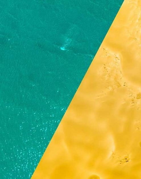 «Мы постоянно принимаем участие в таких тестах, сами того не осознавая»