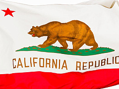 Почему Калифорния как магнит притягивает таланты