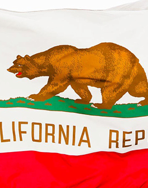 Почему Калифорния как магнит притягивает таланты