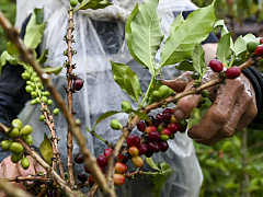 Как вести бизнес в период неопределенности
