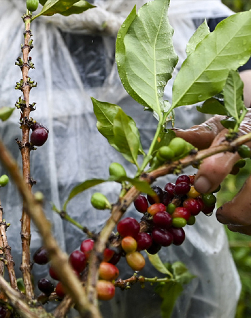 Как вести бизнес в период неопределенности
