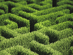 Свобода в рамках