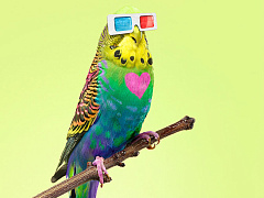 Как видят мир великие люди