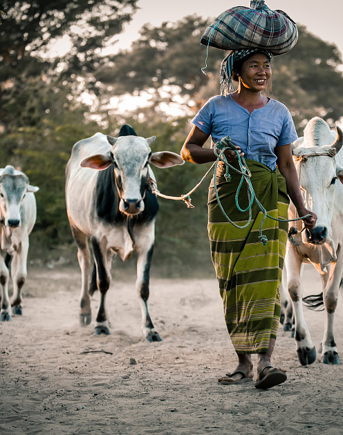 В мире животных: человек
