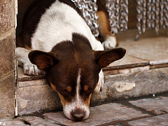 Ваш враг усталость