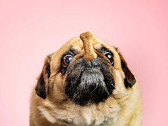 Темная сторона самоконтроля